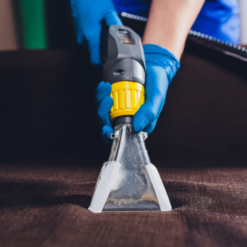 Taille originale Bienve 12 1