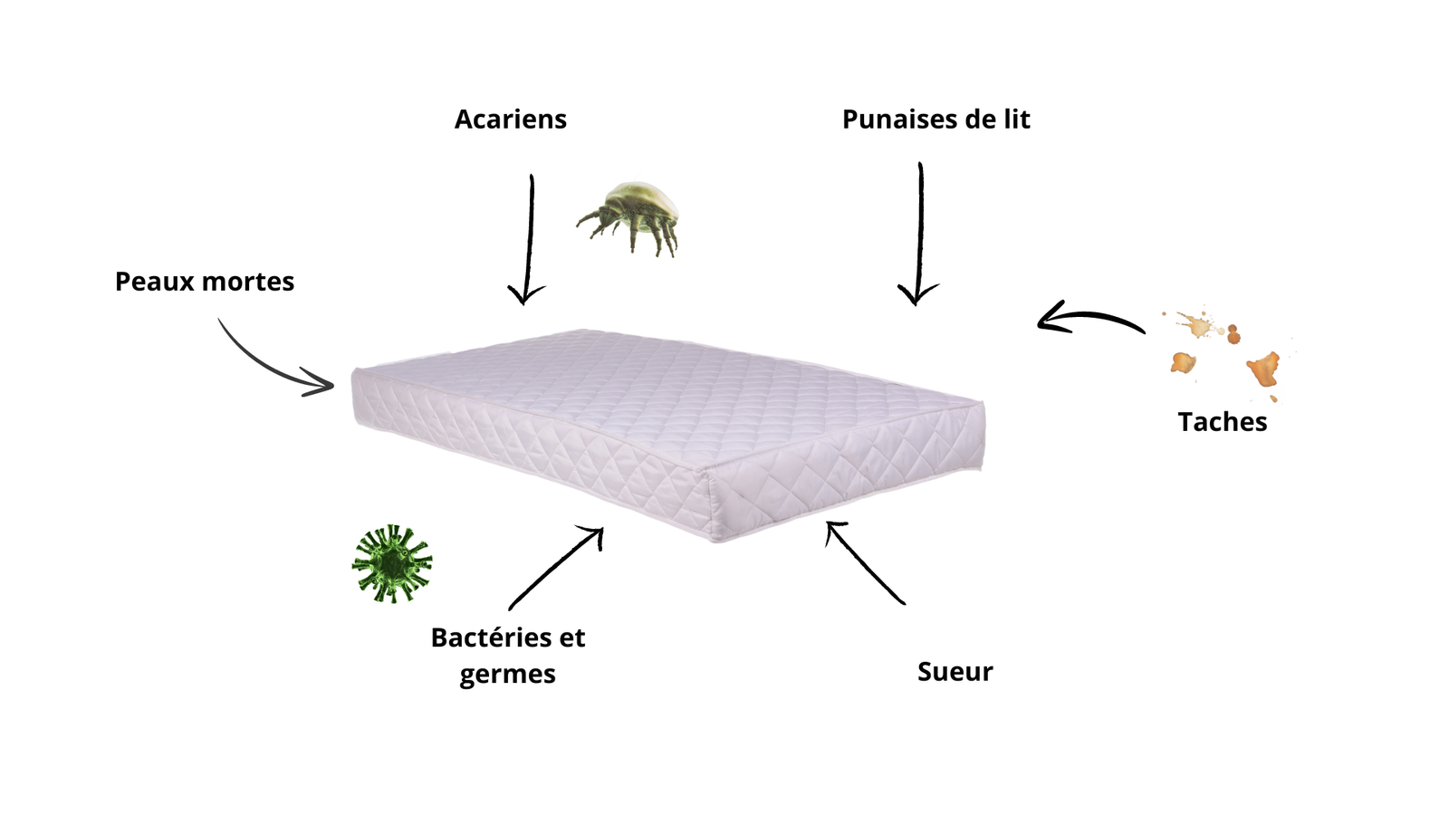 Ajouter un sous-titre (1).pdf Ajouter un sous titre 1.pdf
